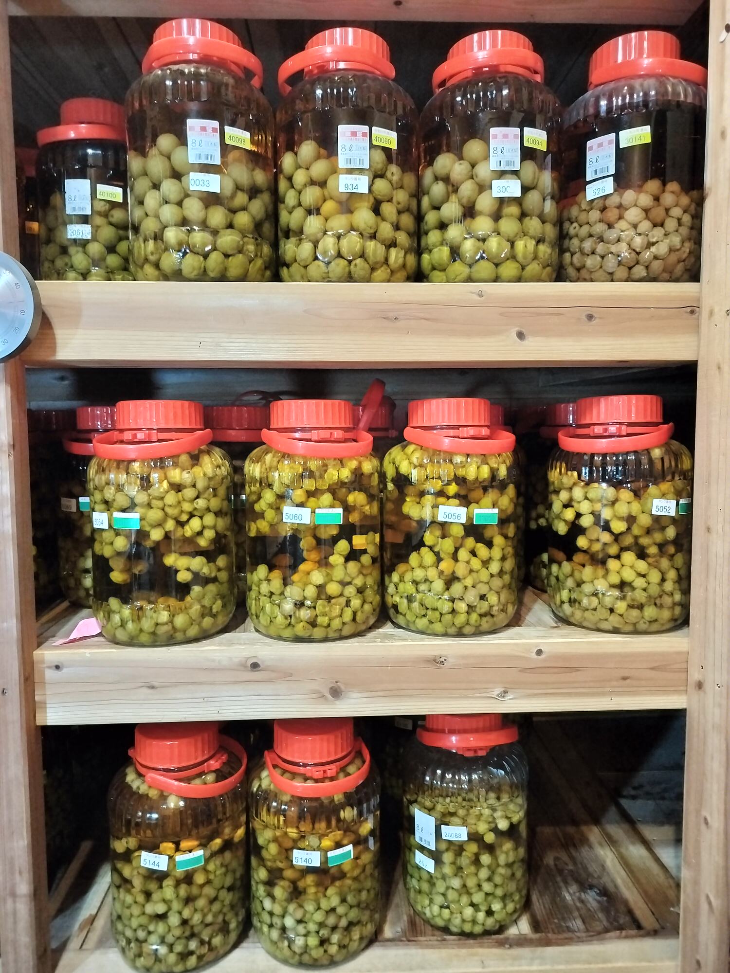 四國德島┃2023吉野川市「美鄉梅酒祭」JR阿波山川站接駁車五杯酒券四會場通用 烤肉關東煮 鄉村秋楓山景美醉 - 第21張圖 四國德島┃2023吉野川市「美鄉梅酒祭」JR阿波山川站接駁車五杯酒券四會場通用 烤肉關東煮 鄉村秋楓山景美醉