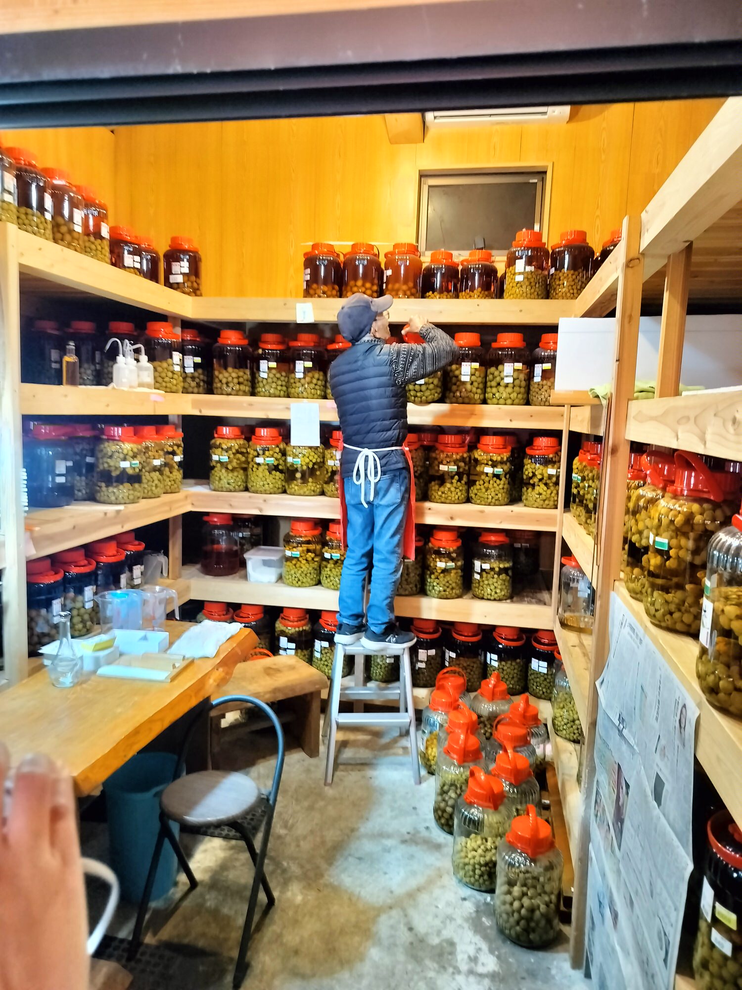 四國德島┃2023吉野川市「美鄉梅酒祭」JR阿波山川站接駁車五杯酒券四會場通用 烤肉關東煮 鄉村秋楓山景美醉 - 第20張圖 四國德島┃2023吉野川市「美鄉梅酒祭」JR阿波山川站接駁車五杯酒券四會場通用 烤肉關東煮 鄉村秋楓山景美醉