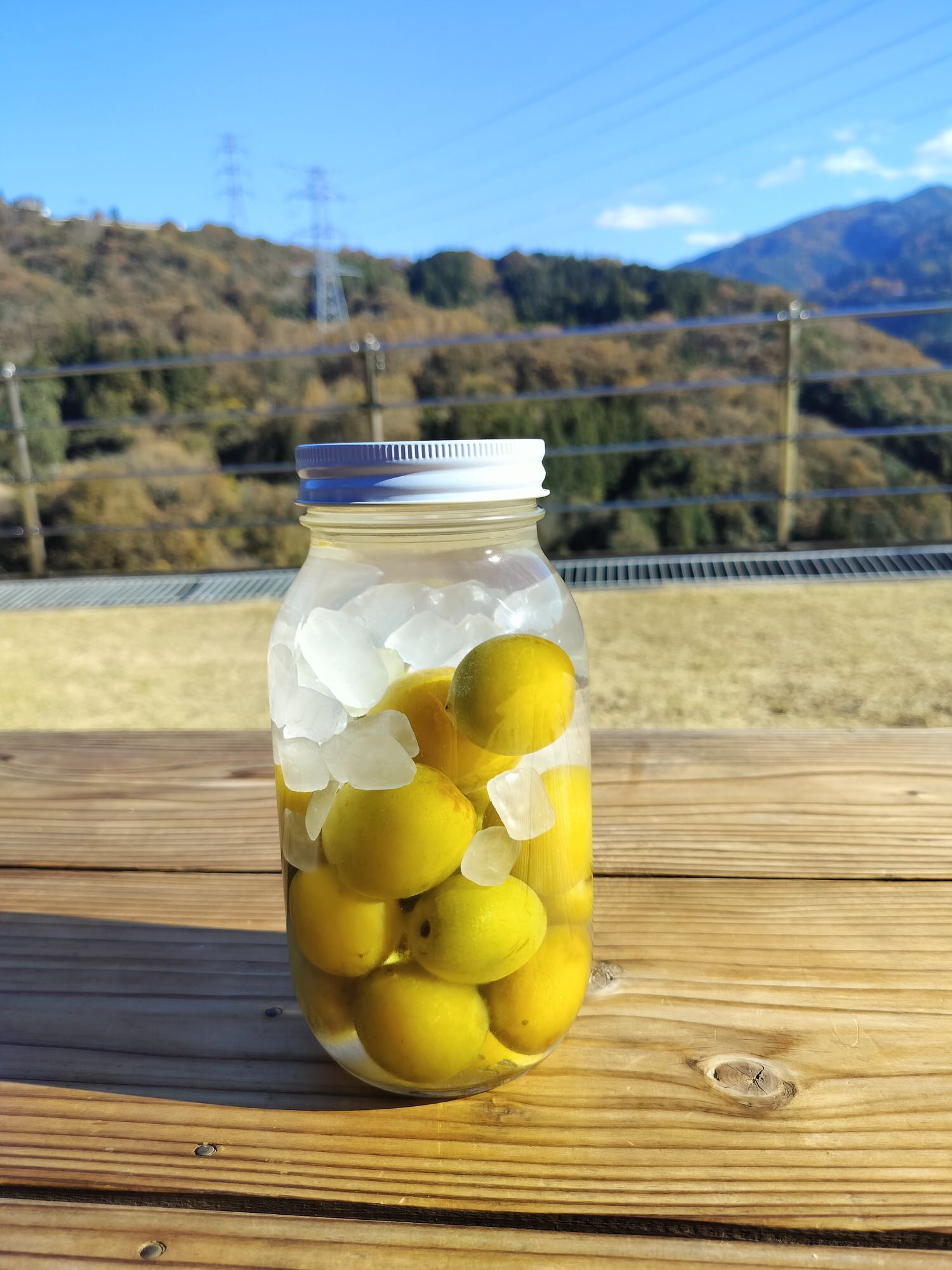 四國德島┃2023吉野川市「美鄉梅酒祭」JR阿波山川站接駁車五杯酒券四會場通用 烤肉關東煮 鄉村秋楓山景美醉 - 第61張圖 四國德島┃2023吉野川市「美鄉梅酒祭」JR阿波山川站接駁車五杯酒券四會場通用 烤肉關東煮 鄉村秋楓山景美醉