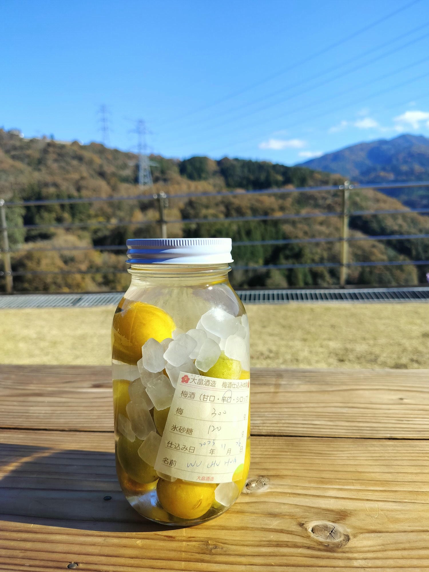 四國德島┃2023吉野川市「美鄉梅酒祭」JR阿波山川站接駁車五杯酒券四會場通用 烤肉關東煮 鄉村秋楓山景美醉 - 第60張圖 四國德島┃2023吉野川市「美鄉梅酒祭」JR阿波山川站接駁車五杯酒券四會場通用 烤肉關東煮 鄉村秋楓山景美醉