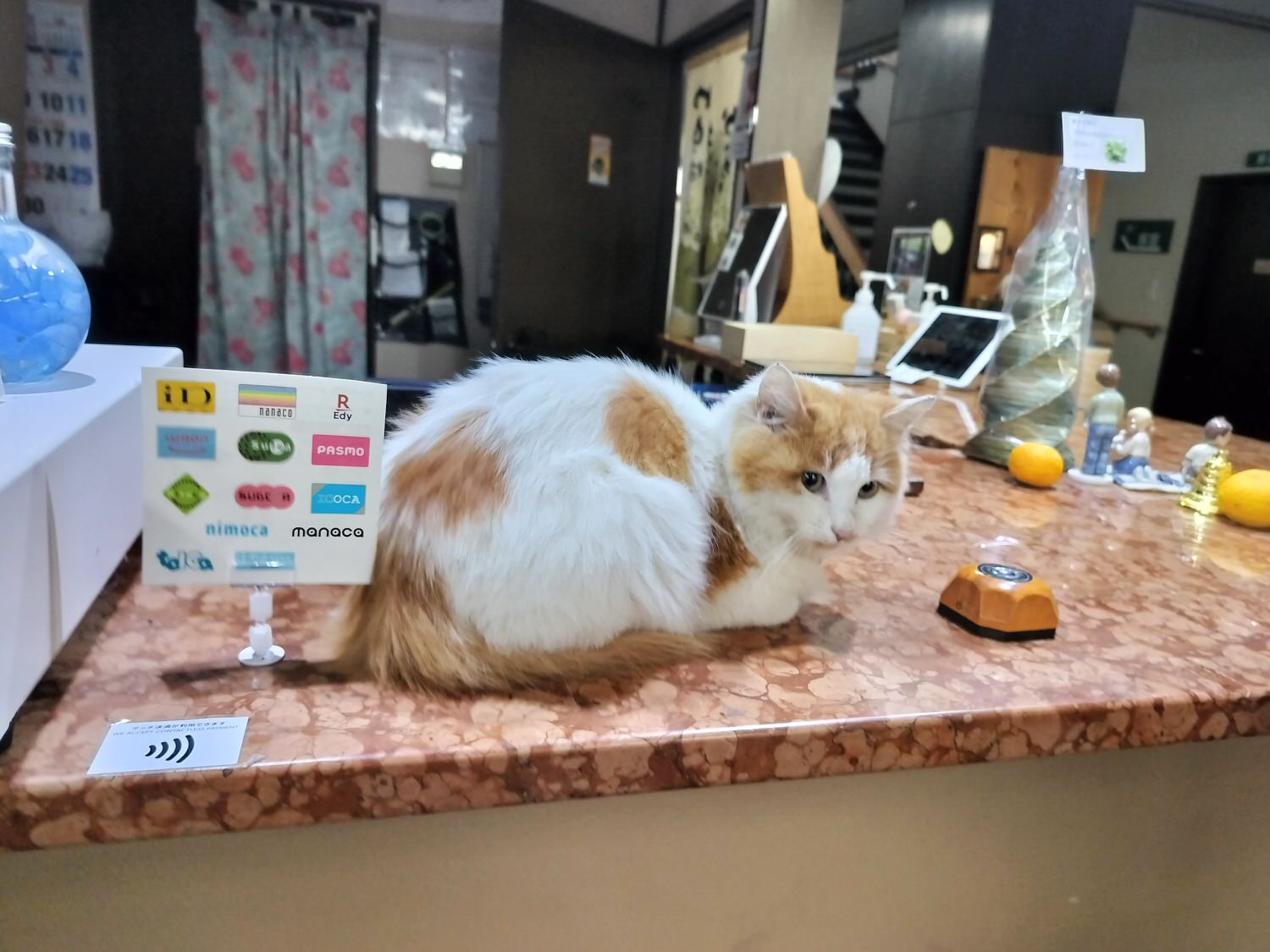 四國德島┃2023吉野川市「美鄉梅酒祭」JR阿波山川站接駁車五杯酒券四會場通用 烤肉關東煮 鄉村秋楓山景美醉 - 第50張圖 四國德島┃2023吉野川市「美鄉梅酒祭」JR阿波山川站接駁車五杯酒券四會場通用 烤肉關東煮 鄉村秋楓山景美醉