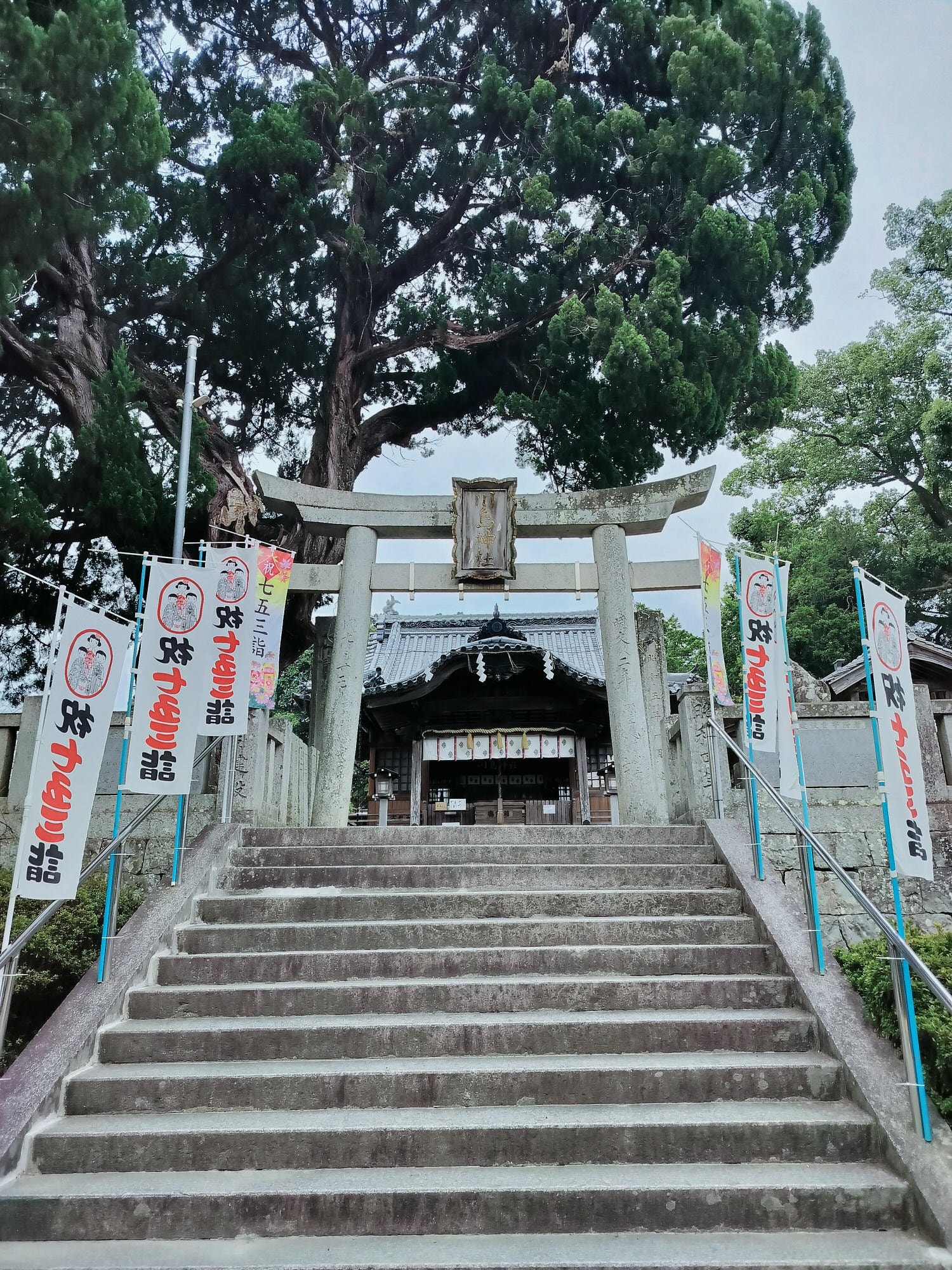 四國德島┃日本最大級河中島「吉野川-善入寺島」田園波斯菊向日葵開滿片 周邊「川島潛水橋」「岩之鼻展望台」絕美 - 第14張圖 四國德島┃日本最大級河中島「吉野川-善入寺島」田園波斯菊向日葵開滿片 周邊「川島潛水橋」「岩之鼻展望台」絕美