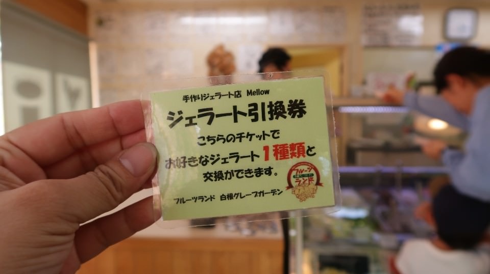 (日本關東)東京近郊新潟市區超好玩 JR新潟站前 北方博物館古代豪宅 物產館日本酒 採果採草莓(下集)