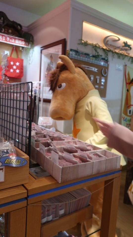 日本關東┃東京大井賽馬場 東京漏掉沒去的快去 專業訓練的馬兒就是不一樣 園區必作五大功課 大井競馬場