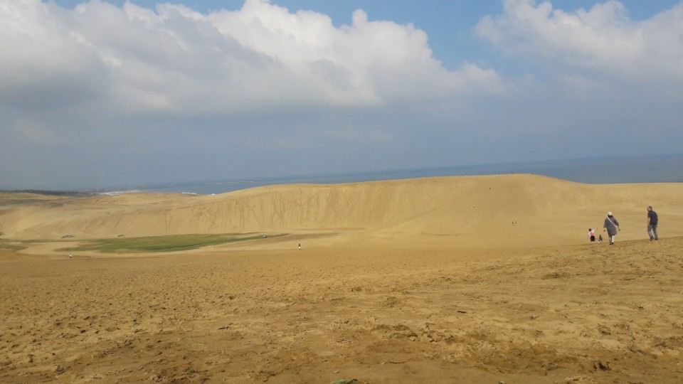 日本山陰山陽┃春櫻鳥取賞櫻 3小時2000日幣計程車 株湯咖啡 鳥取砂丘 和牛燒肉 鳥取站大買 (下集)