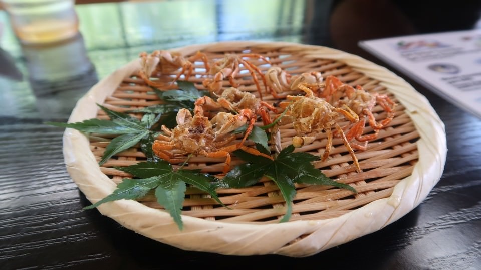 日本四國┃四國德島縣西部秘境美馬市劍町全覽 脇町老街 世界三大奇勝土柱 木盆烏龍麵 山坡斜面農耕