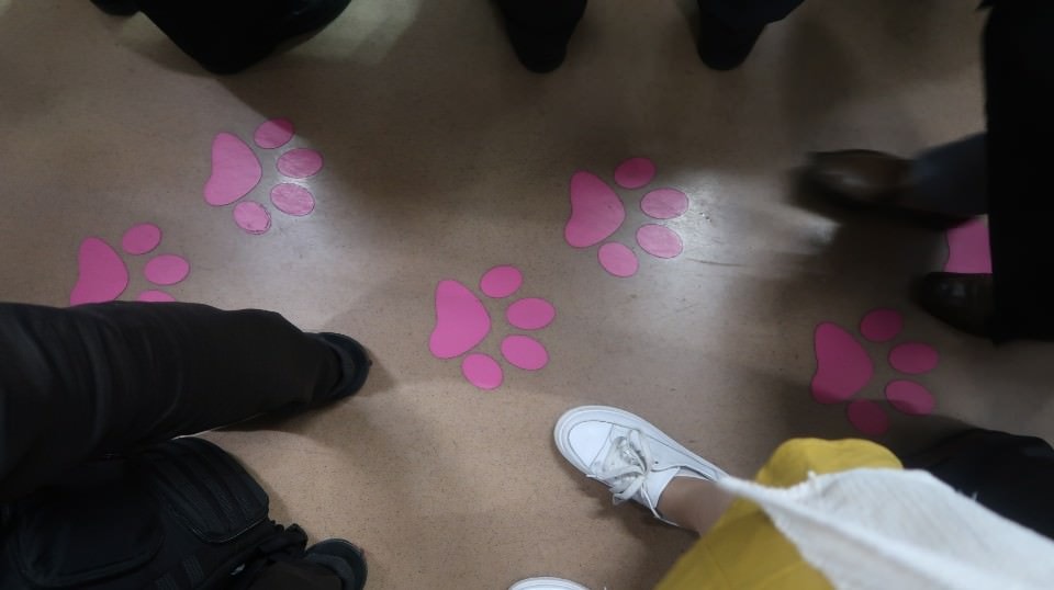 日本關東︱東京世田谷區文青散策 豪德寺遇見千隻招福貓 東京茶寮手沖日本茶 白髭泡芙工房龍貓泡芙