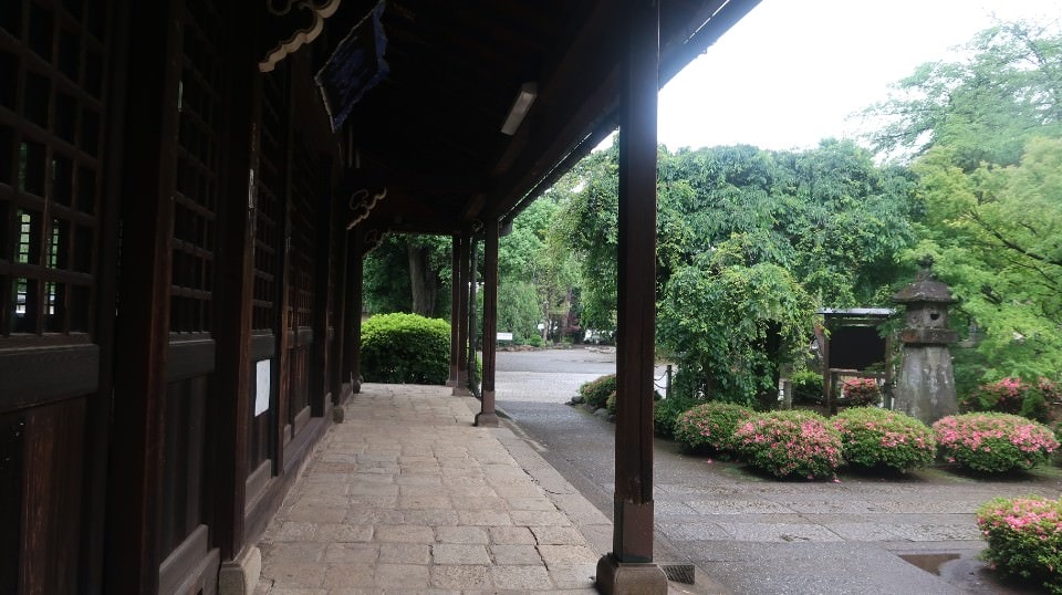 日本關東︱東京世田谷區文青散策 豪德寺遇見千隻招福貓 東京茶寮手沖日本茶 白髭泡芙工房龍貓泡芙