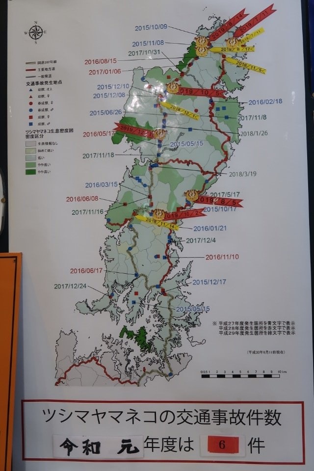 國防最前線 日本最遠的國境之島「對馬島」~最強之城金田城跡 保護石虎山貓 風景美到像假的