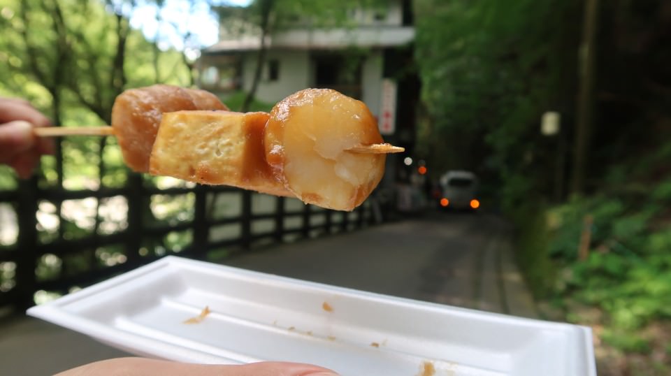 日本四國┃德島縣西部秘境祖谷+奧祖谷景點全覽 計程車包車方案 藤蔓橋 落合集落 稻草人村