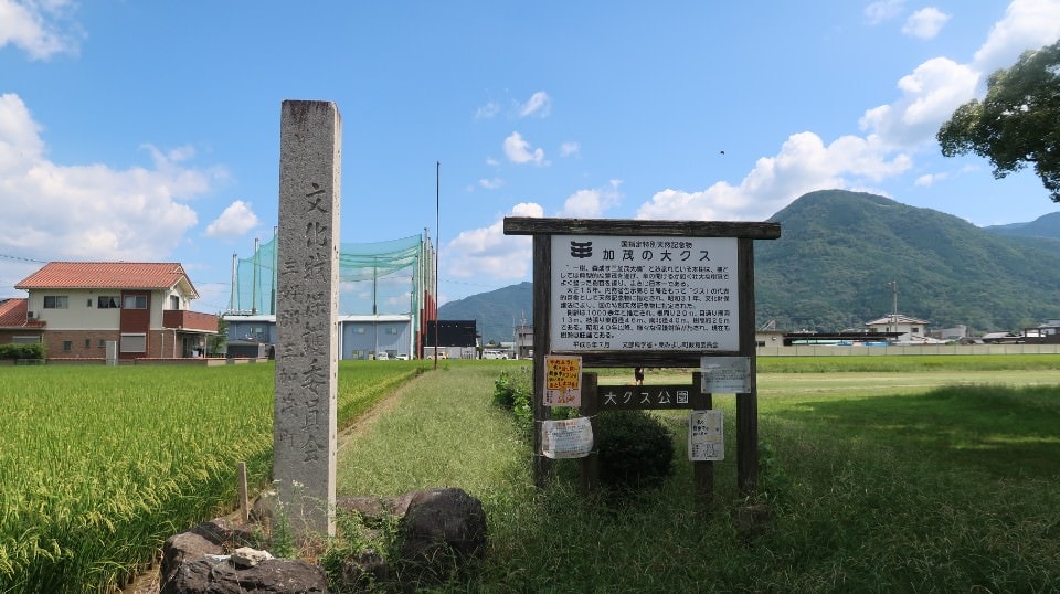 四國德島┃日本三大秘境德島祖谷 辦公兼旅遊更多好發想 租借古民家企業個人工作新型態 產業交流參訪