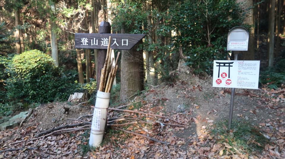 國防最前線 日本最遠的國境之島「對馬島」~最強之城金田城跡 保護石虎山貓 風景美到像假的