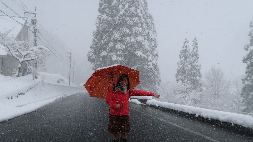 日本山陰山陽┃鳥取若櫻全筆記 昭和號八頭號SL號鐵道迷 高原冰太住宿冬玩雪夏登山 OCAT難波站巴士直達