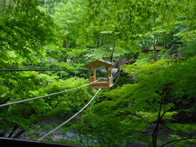 日本四國┃德島縣西部秘境祖谷+奧祖谷景點全覽 計程車包車方案 藤蔓橋 落合集落 稻草人村