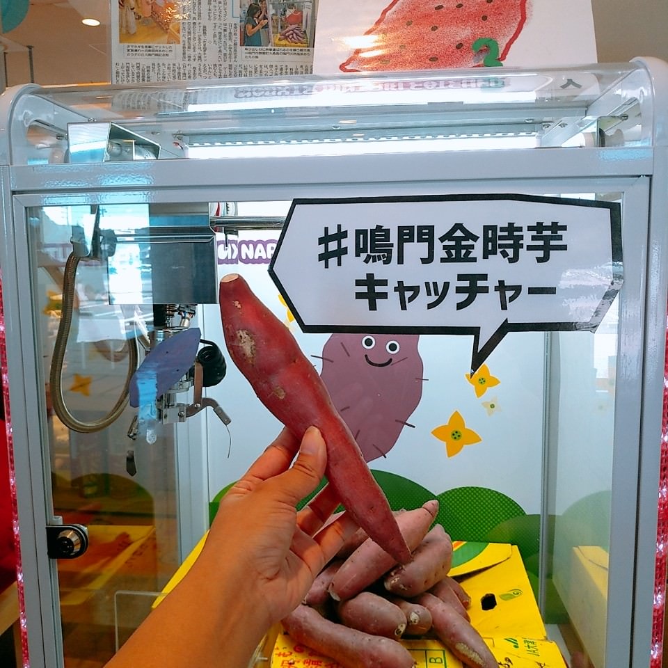 日本四國┃德島縣鳴門二日遊（百年酒造、醬油藏、大谷燒、藍染）