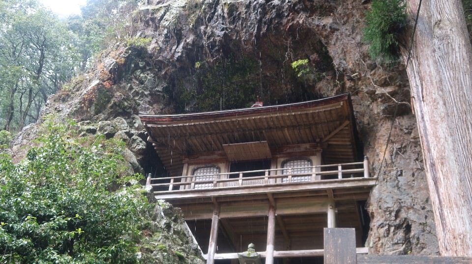 日本山陰山陽┃鳥取若櫻全筆記 昭和號八頭號SL號鐵道迷 高原冰太住宿冬玩雪夏登山 OCAT難波站巴士直達