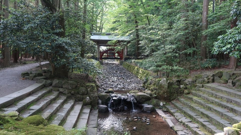 (日本關東)東京近郊走走新潟 大地藝術祭十日町清津峽 農舞台 長岡寺泊魚市 越後丘陵玫瑰園 彌彥神社