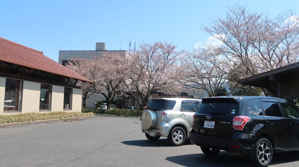 日本山陰山陽┃春櫻鳥取關西機場OCAT難波搭巴士 袋川櫻土手賞櫻 鹿野城跡蕎麥麵 鳥取城跡櫻花宿舍 (上集) - 第50張圖 日本山陰山陽┃春櫻鳥取關西機場OCAT難波搭巴士 袋川櫻土手賞櫻 鹿野城跡蕎麥麵 鳥取城跡櫻花宿舍 (上集)