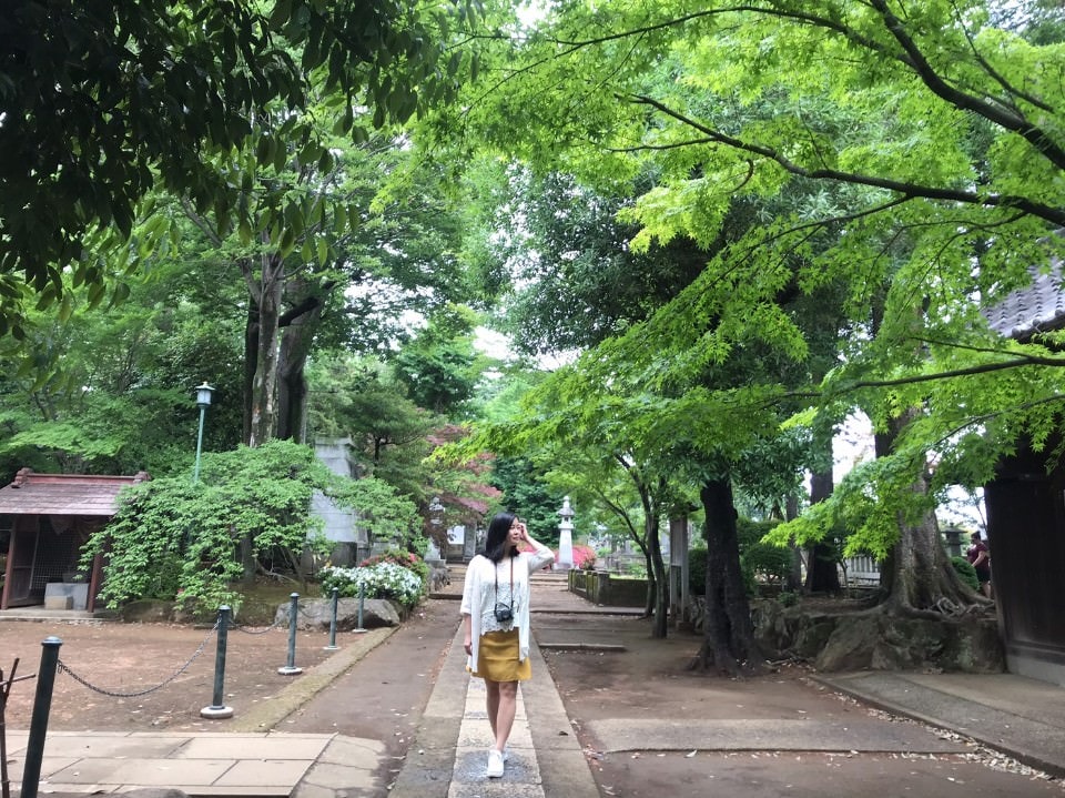 日本關東︱東京世田谷區文青散策 豪德寺遇見千隻招福貓 東京茶寮手沖日本茶 白髭泡芙工房龍貓泡芙