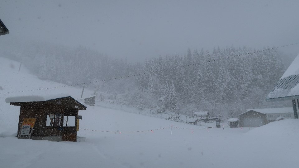 日本山陰山陽┃鳥取若櫻全筆記 昭和號八頭號SL號鐵道迷 高原冰太住宿冬玩雪夏登山 OCAT難波站巴士直達