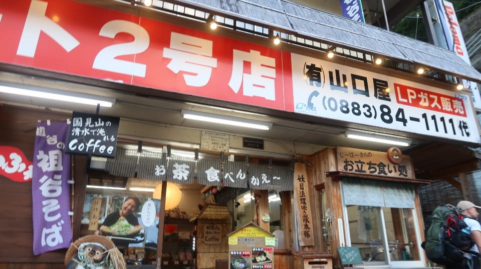 日本四國┃德島縣西部秘境祖谷+奧祖谷景點全覽 計程車包車方案 藤蔓橋 落合集落 稻草人村