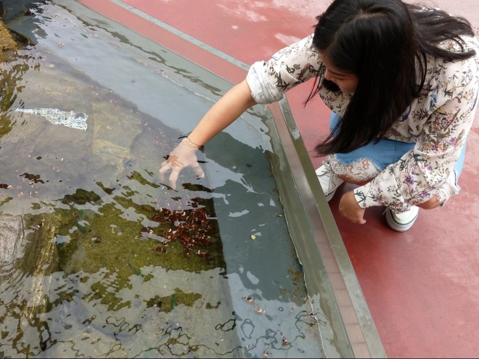 日本四國┃德島縣二日巴士券（BAS PASS）交通省很大(任選二日使用)鳴門漩渦、小矽谷神山町