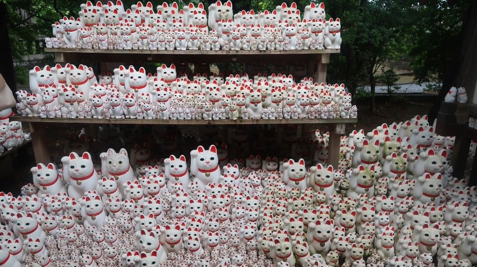 日本關東︱東京世田谷區文青散策 豪德寺遇見千隻招福貓 東京茶寮手沖日本茶 白髭泡芙工房龍貓泡芙