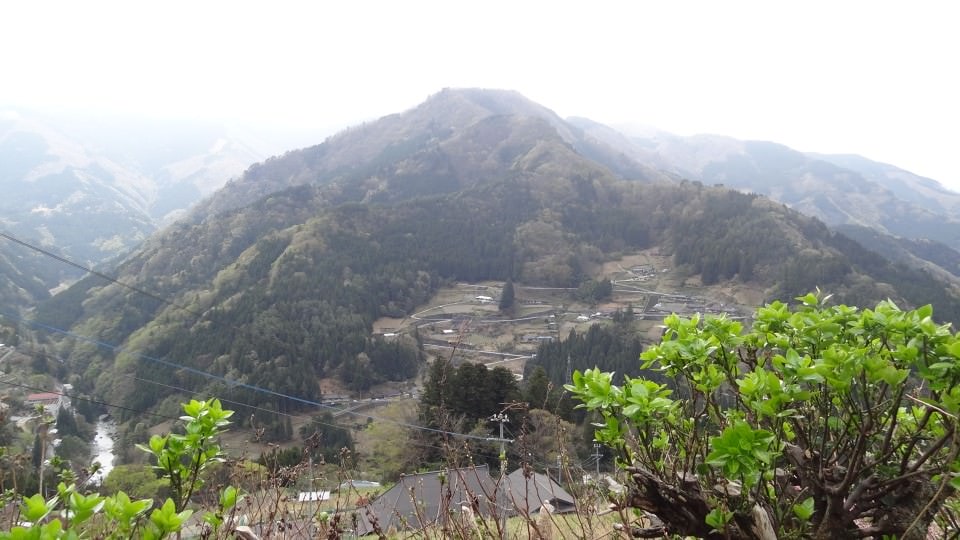 四國德島┃秘境祖谷大步危遊覽船 藤蔓橋 小便小僧觀光巴士或定額計程車包車預約