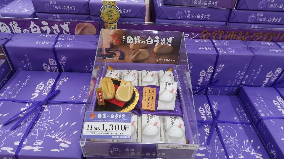 日本山陰山陽┃回到昭和時代旅遊新提案「鳥取市+若櫻町」SL鐵道迷水戶岡大師昭和號列車 鳥取砂丘 白兔神社