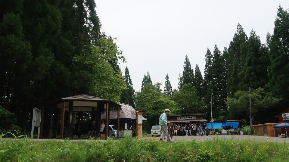(日本關東)東京近郊走走新潟 大地藝術祭十日町清津峽 農舞台 長岡寺泊魚市 越後丘陵玫瑰園 彌彥神社