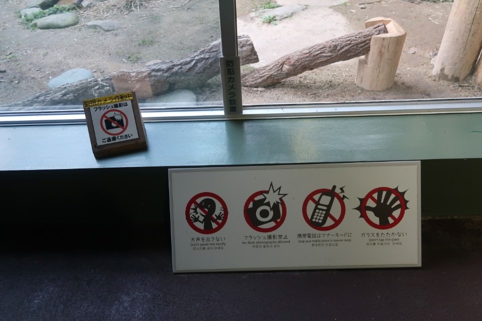 國防最前線 日本最遠的國境之島「對馬島」~最強之城金田城跡 保護石虎山貓 風景美到像假的