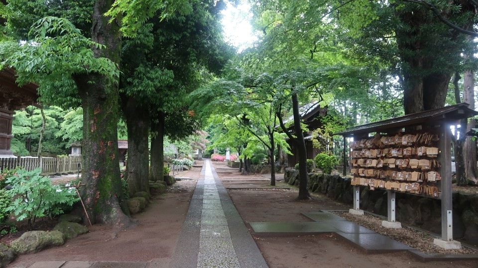 日本關東︱東京世田谷區文青散策 豪德寺遇見千隻招福貓 東京茶寮手沖日本茶 白髭泡芙工房龍貓泡芙