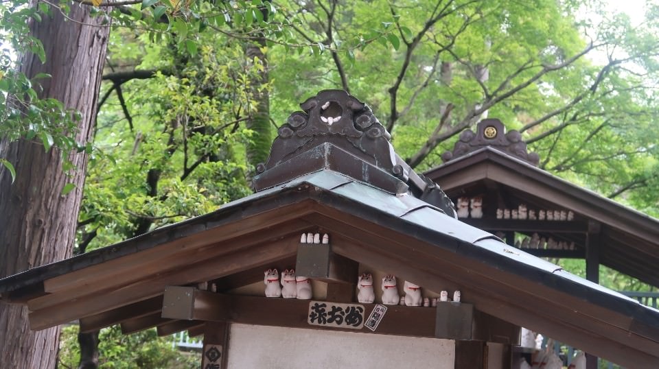 日本關東︱東京世田谷區文青散策 豪德寺遇見千隻招福貓 東京茶寮手沖日本茶 白髭泡芙工房龍貓泡芙