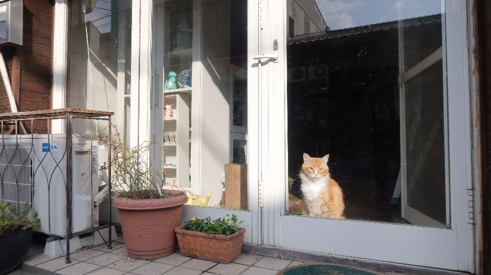 日本山陰山陽┃回到昭和時代旅遊新提案「鳥取市+若櫻町」SL鐵道迷水戶岡大師昭和號列車 鳥取砂丘 白兔神社