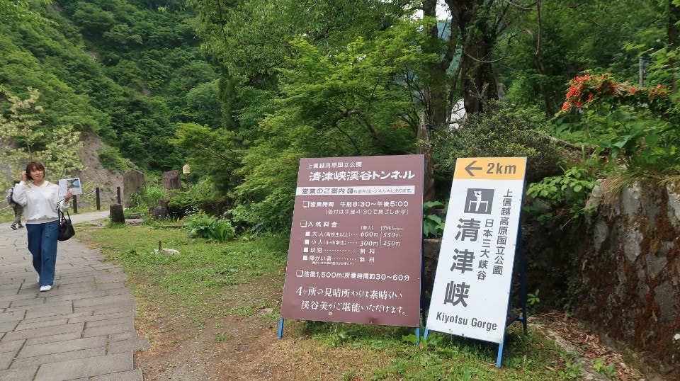 (日本關東)東京近郊走走新潟 大地藝術祭十日町清津峽 農舞台 長岡寺泊魚市 越後丘陵玫瑰園 彌彥神社