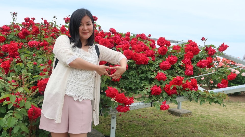 (日本關東)東京近郊走走新潟 大地藝術祭十日町清津峽 農舞台 長岡寺泊魚市 越後丘陵玫瑰園 彌彥神社