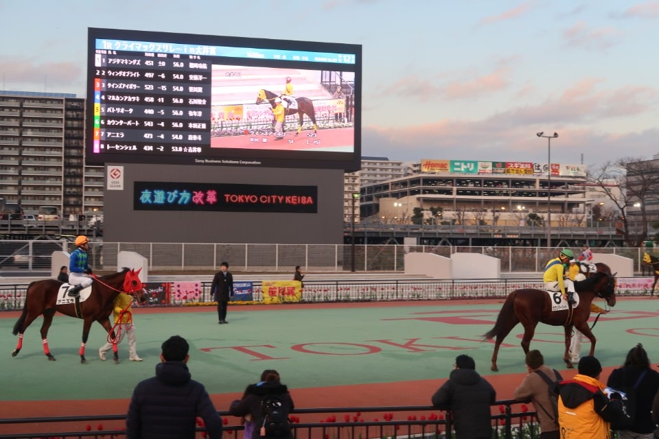日本關東┃東京大井賽馬場 東京漏掉沒去的快去 專業訓練的馬兒就是不一樣 園區必作五大功課 大井競馬場