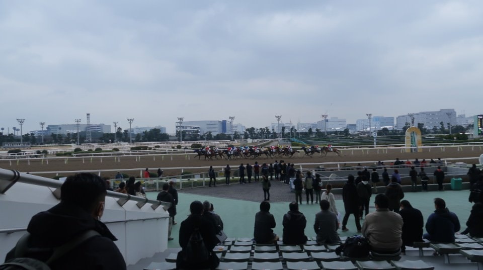 日本關東┃東京大井賽馬場 東京漏掉沒去的快去 專業訓練的馬兒就是不一樣 園區必作五大功課 大井競馬場