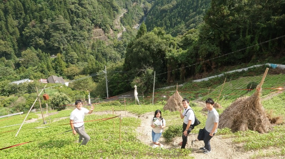 日本四國┃四國德島縣西部秘境美馬市劍町全覽 脇町老街 世界三大奇勝土柱 木盆烏龍麵 山坡斜面農耕