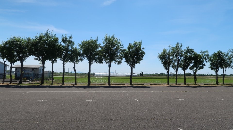 (日本關東)東京近郊新潟市區超好玩 JR新潟站前 北方博物館古代豪宅 物產館日本酒 採果採草莓(下集)