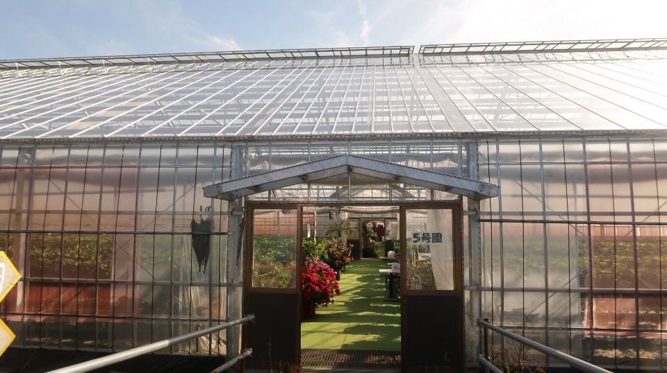 (日本關東)東京近郊新潟市區超好玩 JR新潟站前 北方博物館古代豪宅 物產館日本酒 採果採草莓(下集)