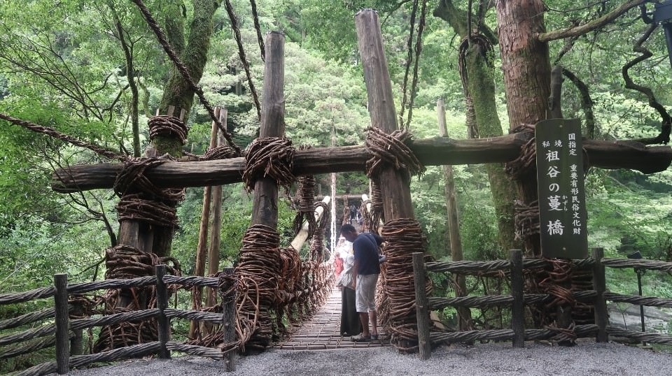 日本四國┃德島縣西部秘境祖谷+奧祖谷景點全覽 計程車包車方案 藤蔓橋 落合集落 稻草人村