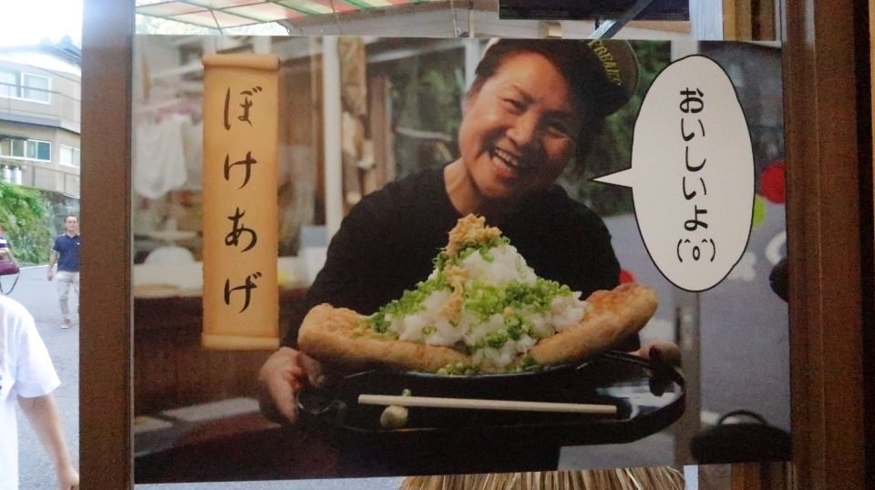 日本四國┃德島縣西部秘境祖谷+奧祖谷景點全覽 計程車包車方案 藤蔓橋 落合集落 稻草人村