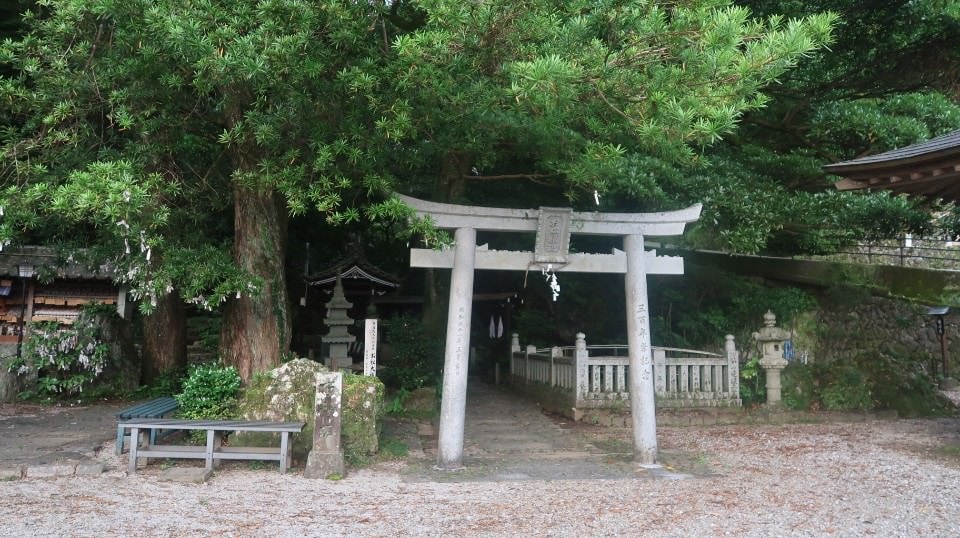 日本四國┃德島縣南部景點 阿松大權現 招財貓神社「お松大権現」商業繁榮 試驗合格 就職順利