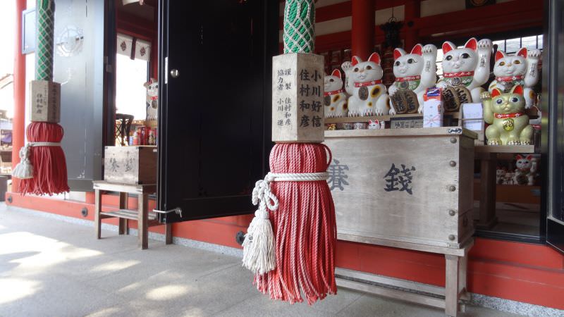 日本四國┃德島縣南部景點 阿松大權現 招財貓神社「お松大権現」商業繁榮 試驗合格 就職順利