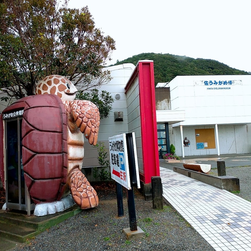 日本四國┃德島縣二日巴士券（BAS PASS）交通省很大(任選二日使用)鳴門漩渦、小矽谷神山町