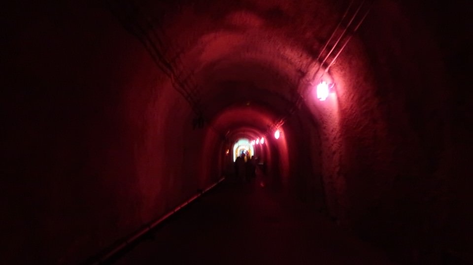 (日本關東)東京近郊走走新潟 大地藝術祭十日町清津峽 農舞台 長岡寺泊魚市 越後丘陵玫瑰園 彌彥神社