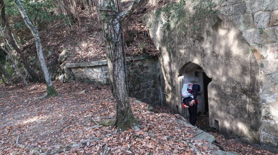 國防最前線 日本最遠的國境之島「對馬島」~最強之城金田城跡 保護石虎山貓 風景美到像假的