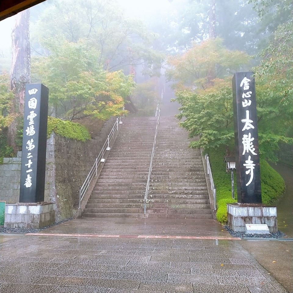 日本四國┃德島縣二日巴士券（BAS PASS）交通省很大(任選二日使用)鳴門漩渦、小矽谷神山町