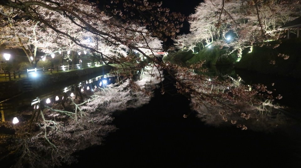 日本山陰山陽┃春櫻鳥取關西機場OCAT難波搭巴士 袋川櫻土手賞櫻 鹿野城跡蕎麥麵 鳥取城跡櫻花宿舍 (上集) - 第65張圖 日本山陰山陽┃春櫻鳥取關西機場OCAT難波搭巴士 袋川櫻土手賞櫻 鹿野城跡蕎麥麵 鳥取城跡櫻花宿舍 (上集)